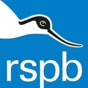 The next phase of hybrid work with RSPB